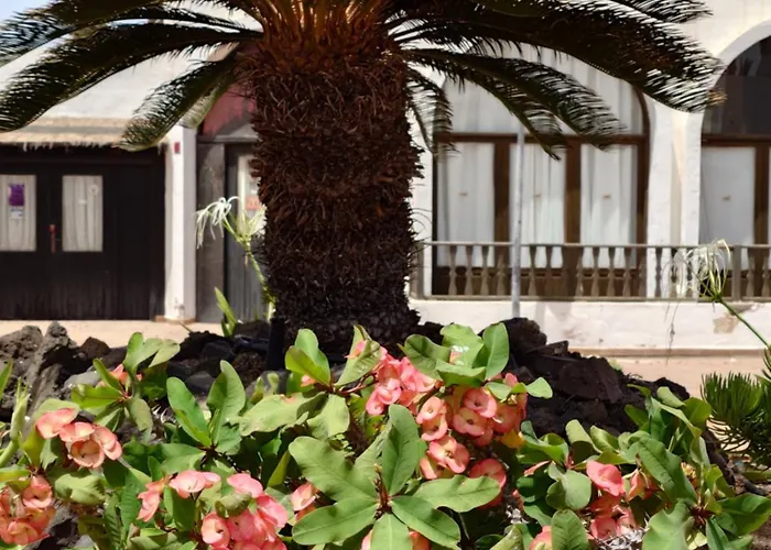 Appartamento Oasis Duna Casa 3p Is Premium Adults-only With Panoramic Pool View *