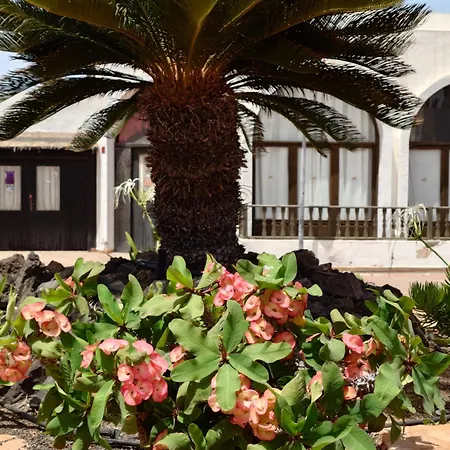 Lejlighed Oasis Duna Casa 3p Is Premium Adults-only With Panoramic Pool View *